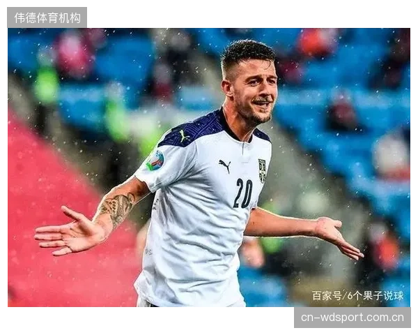 挪威队预选赛表现强势，索尔巴肯4-3-3体系磨合成熟。